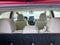 2021 Subaru Impreza 5DR WGN MT
