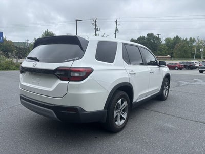 2024 Honda Pilot EX-L 8 Passenger