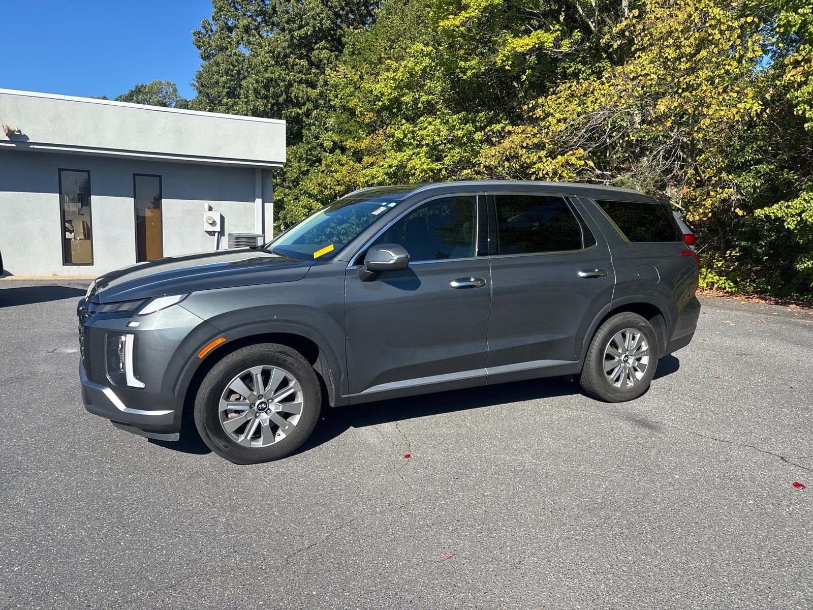 2024 Hyundai Palisade SEL 7P